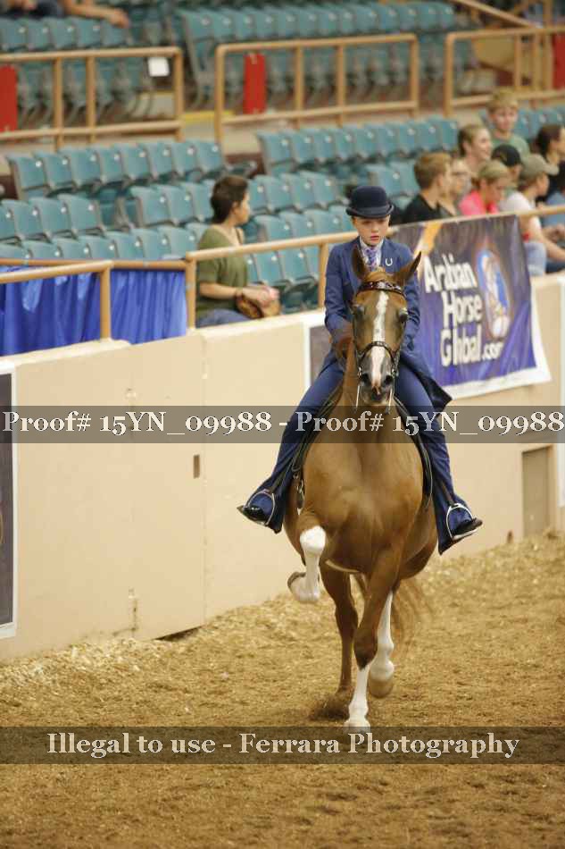 Proof 15YN_09988