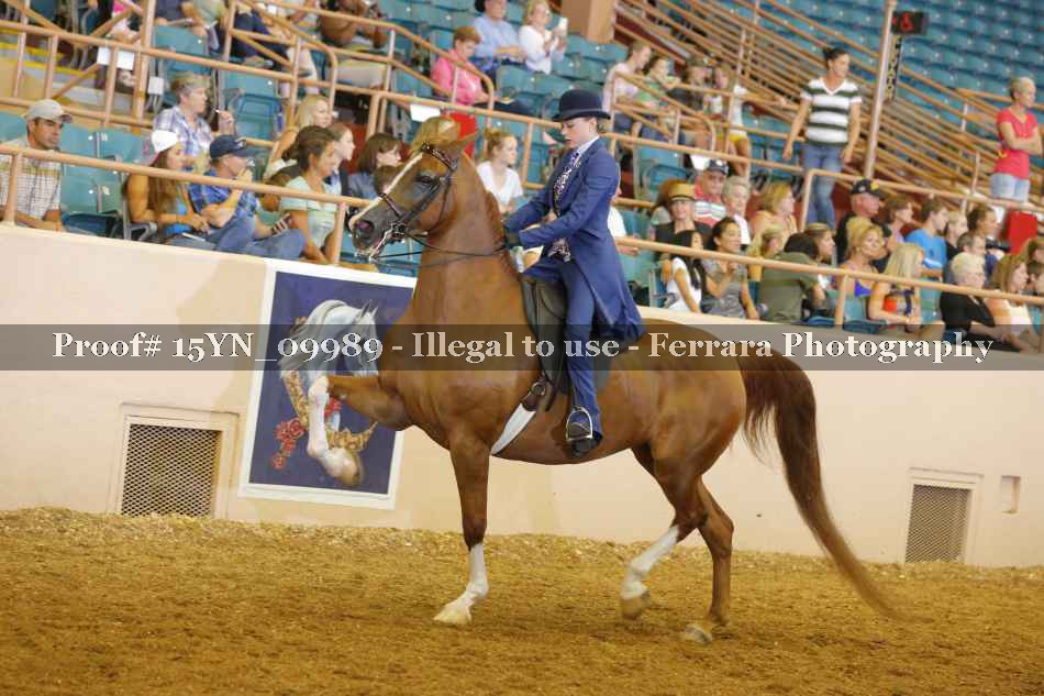 Proof 15YN_09989
