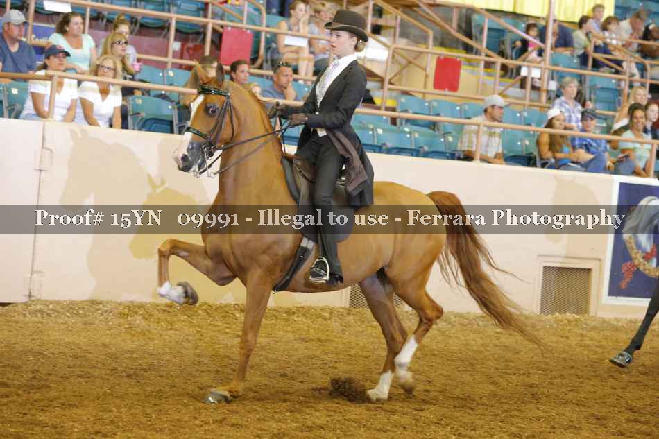 Proof 15YN_09991