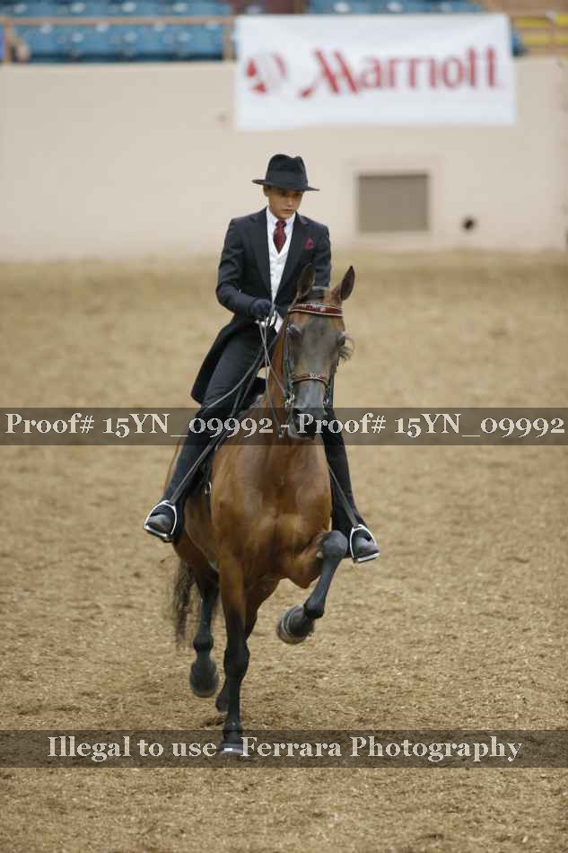 Proof 15YN_09992
