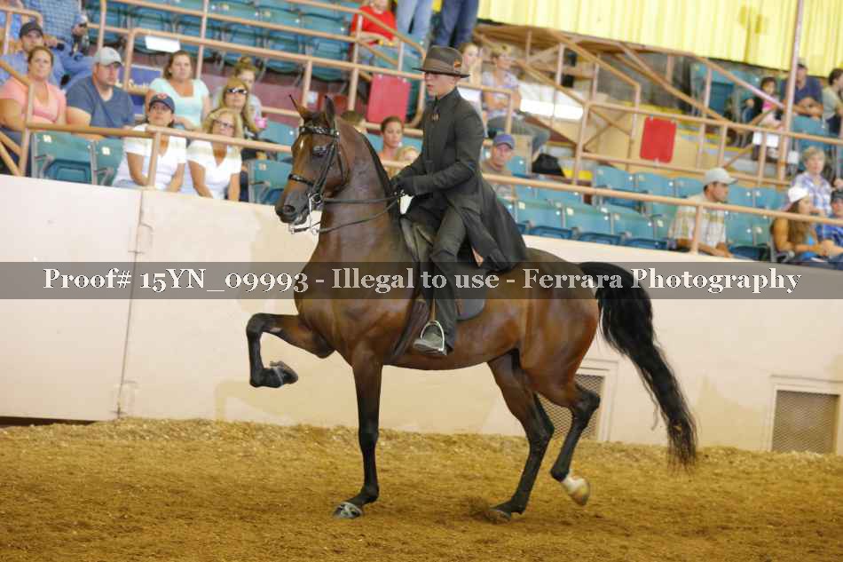 Proof 15YN_09993