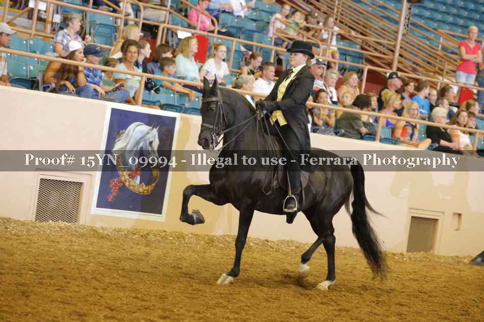 Proof 15YN_09994