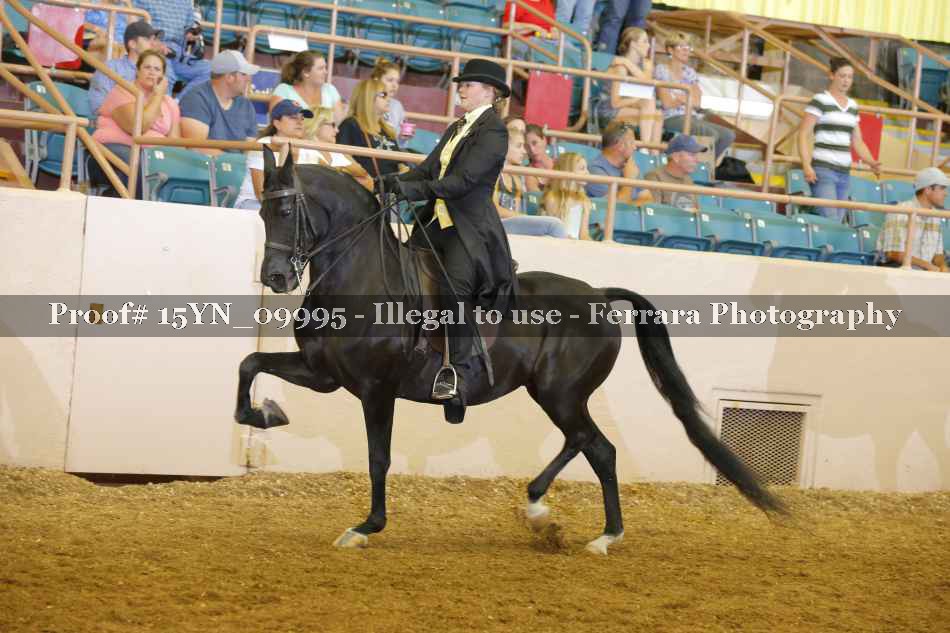Proof 15YN_09995