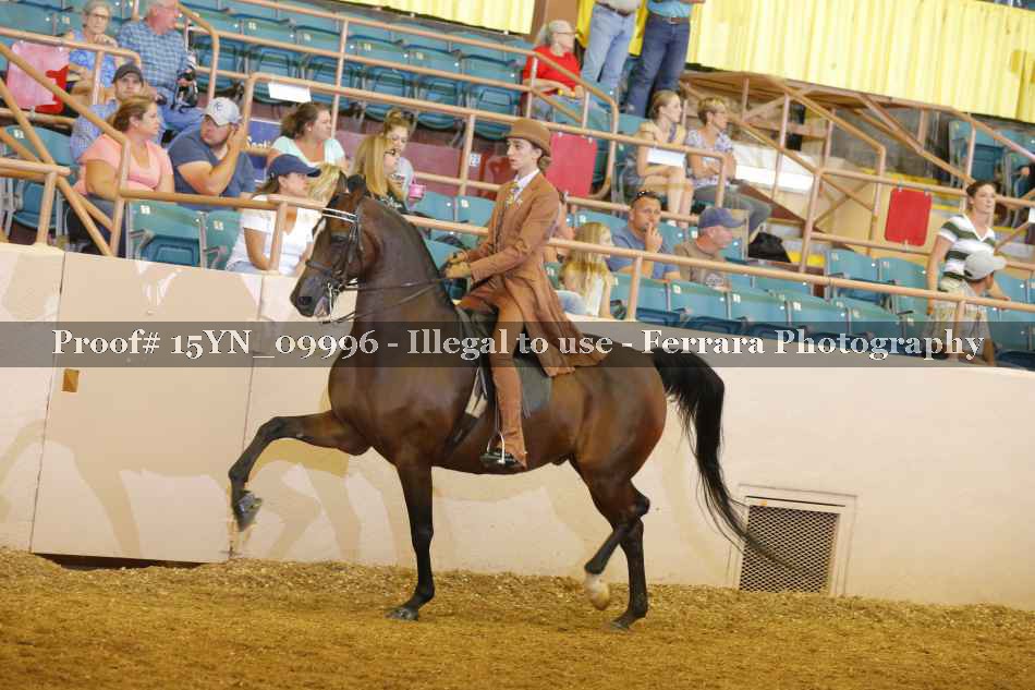 Proof 15YN_09996