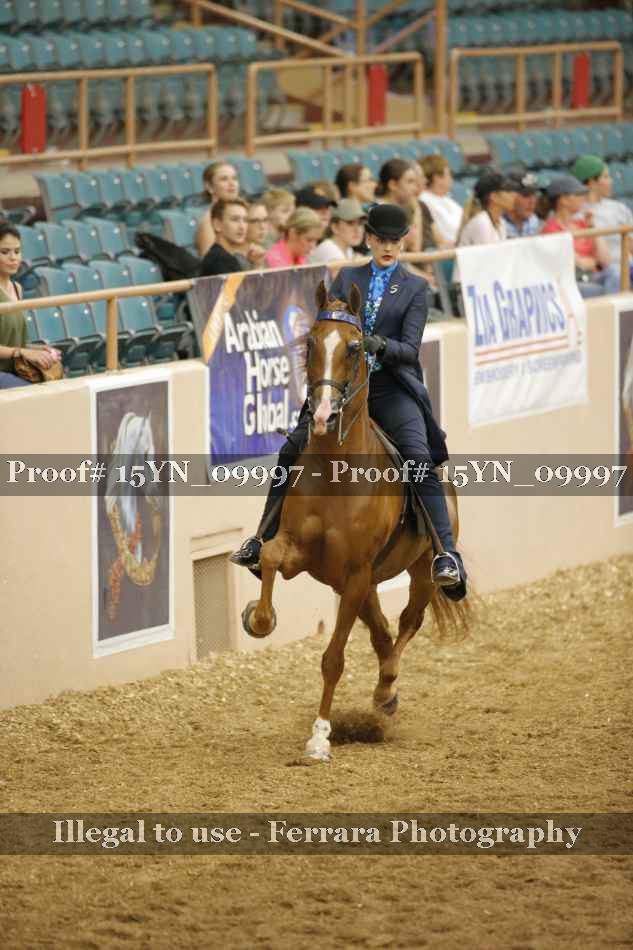 Proof 15YN_09997
