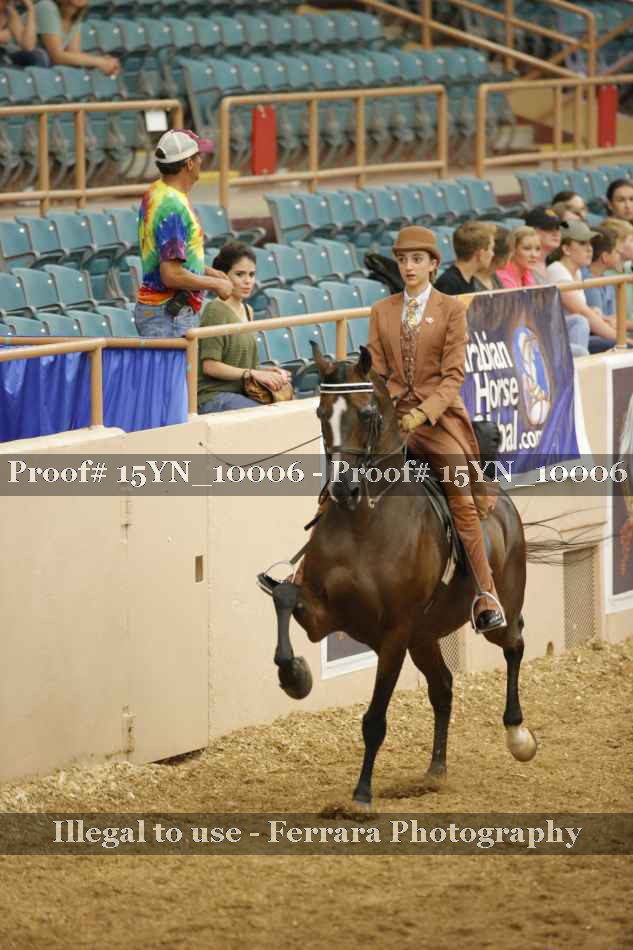 Proof 15YN_10006