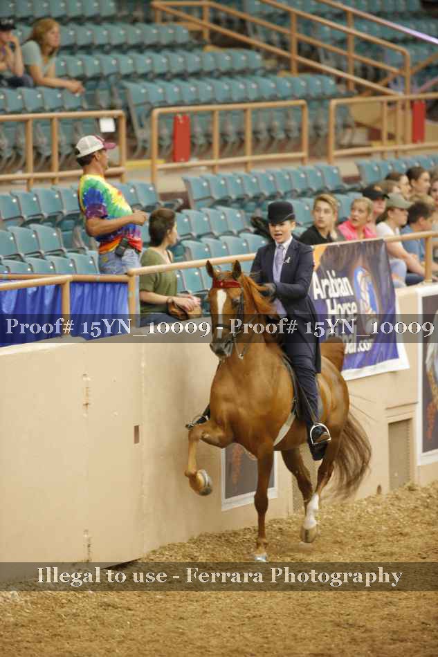 Proof 15YN_10009