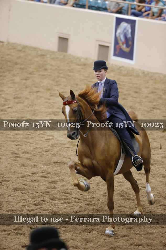 Proof 15YN_10025