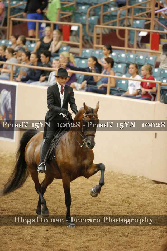 Proof 15YN_10028