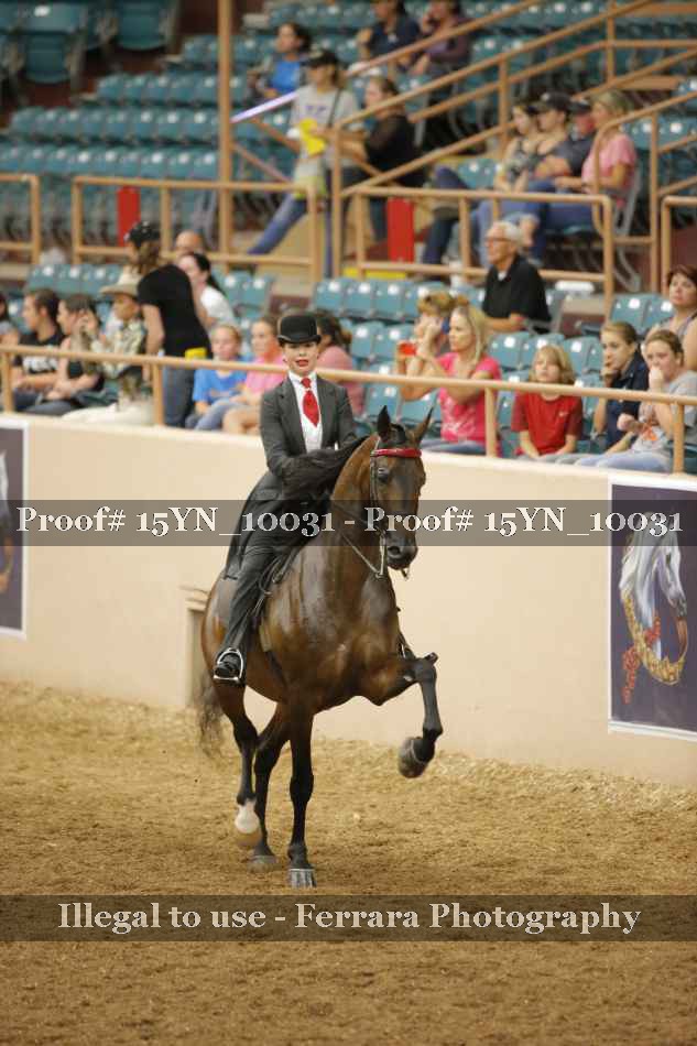 Proof 15YN_10031