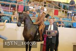 15YN_10036 proof