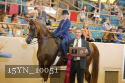15YN_10051 proof