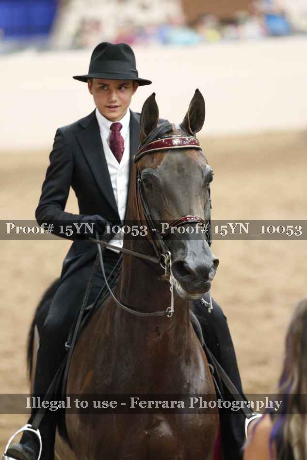Proof 15YN_10053