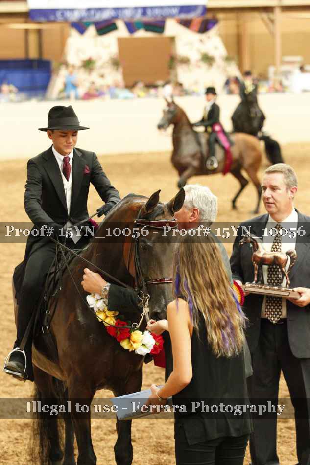 Proof 15YN_10056
