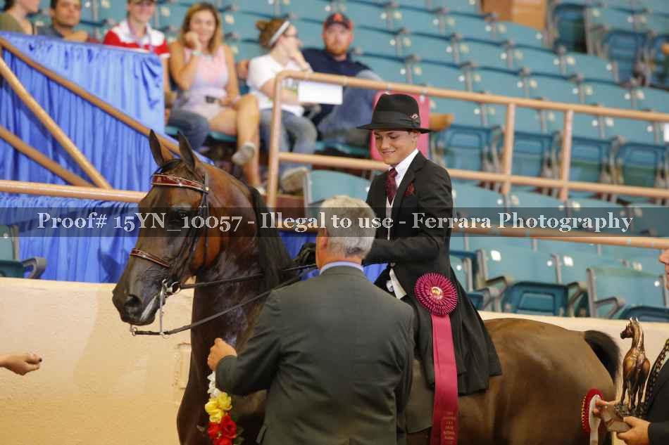 Proof 15YN_10057