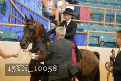 15YN_10058 proof
