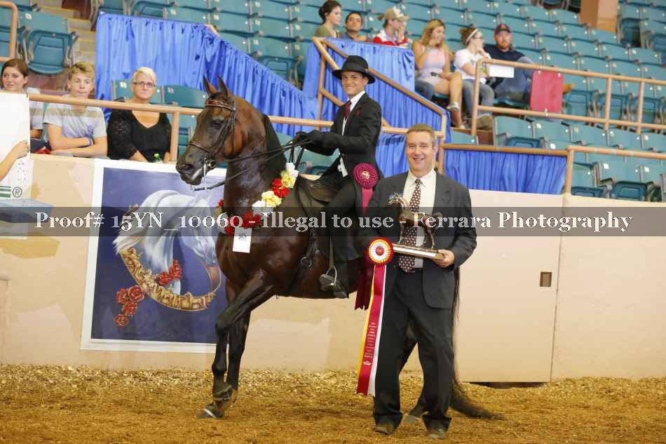 Proof 15YN_10060