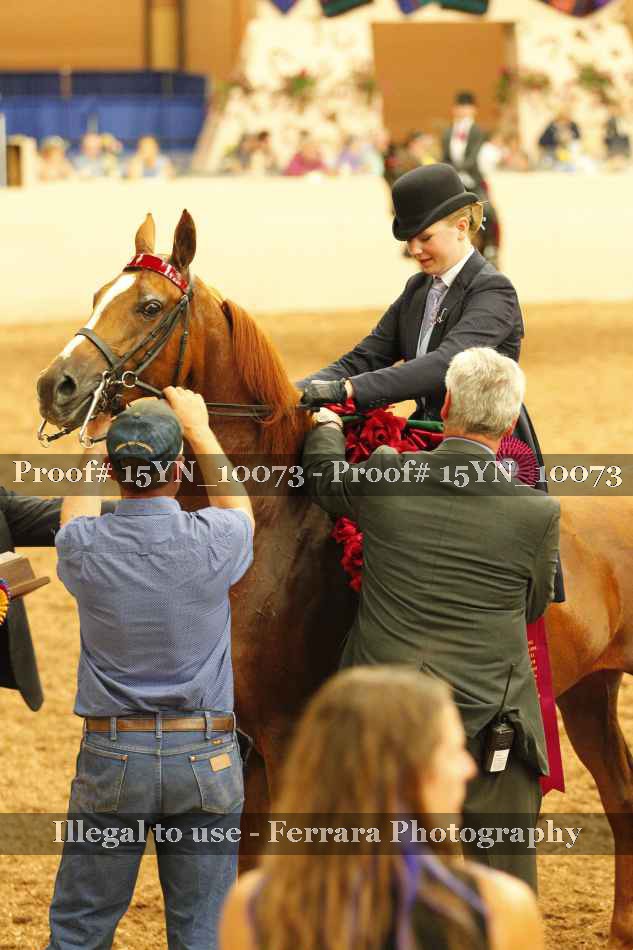Proof 15YN_10073