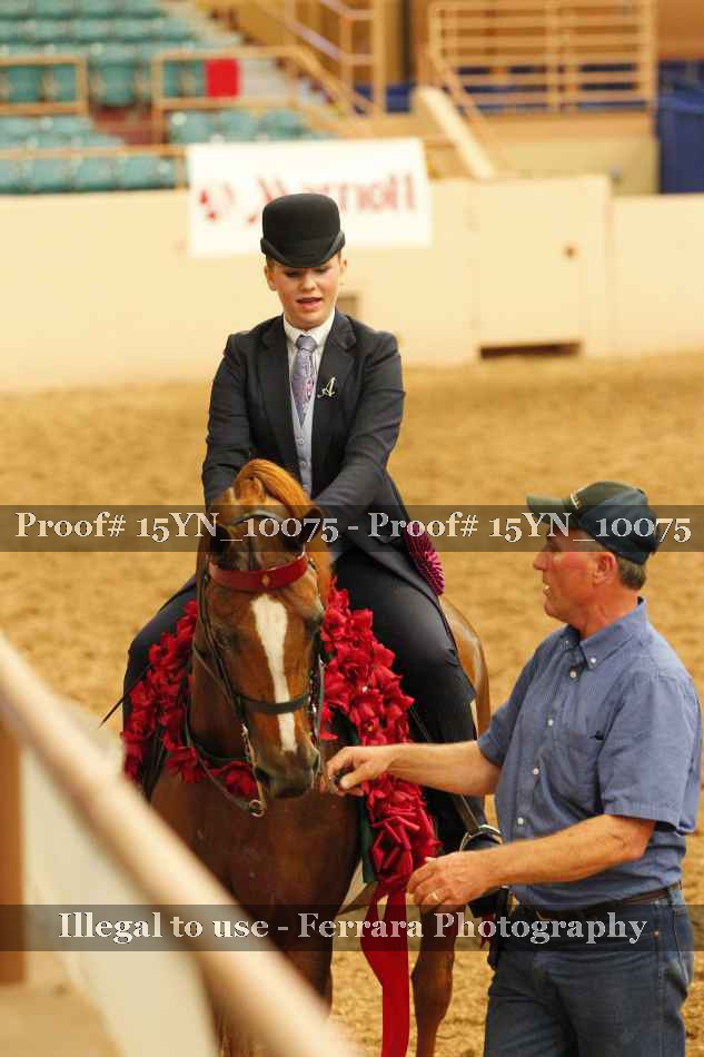 Proof 15YN_10075