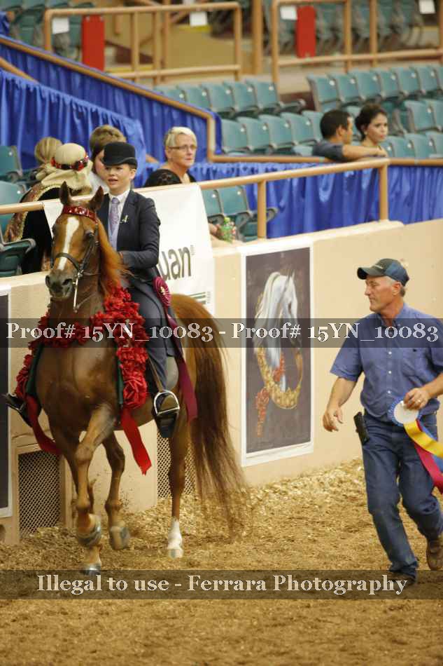 Proof 15YN_10083