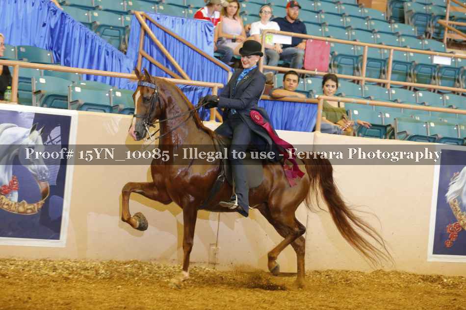 Proof 15YN_10085