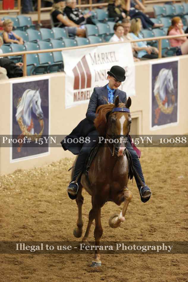 Proof 15YN_10088