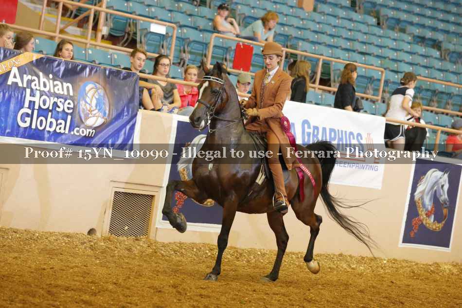 Proof 15YN_10090