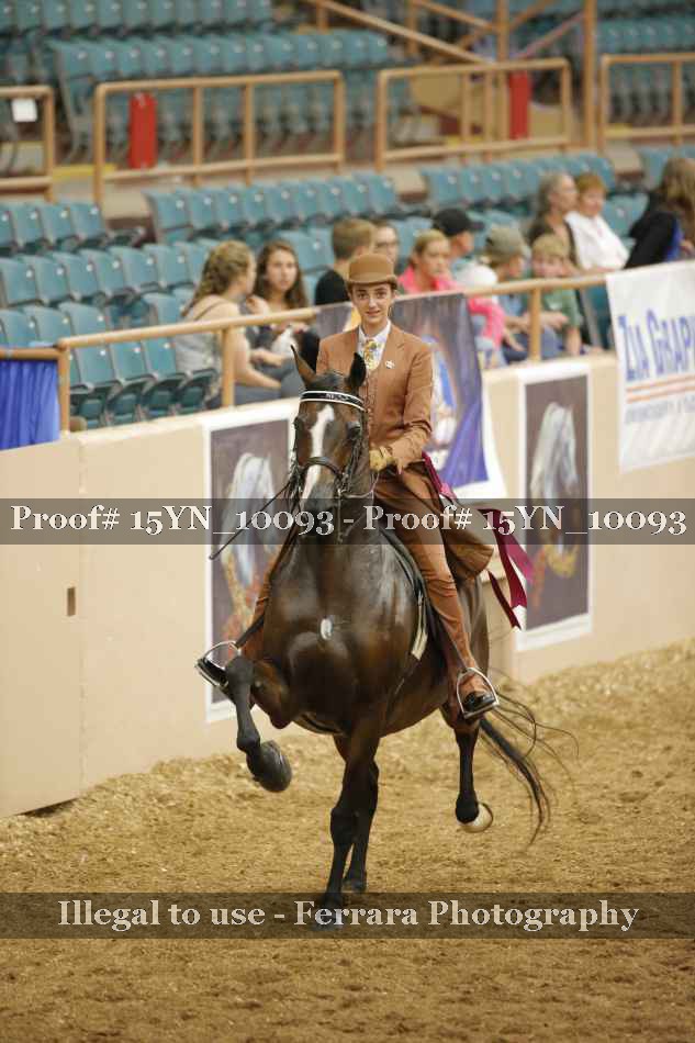 Proof 15YN_10093