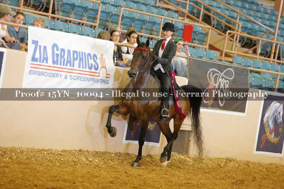 Proof 15YN_10094