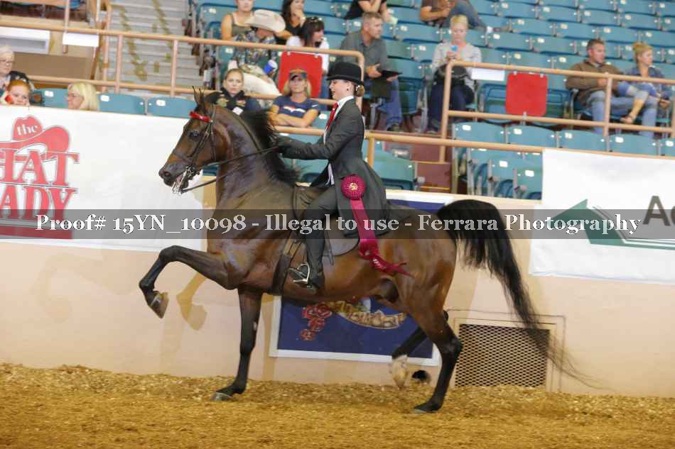 Proof 15YN_10098