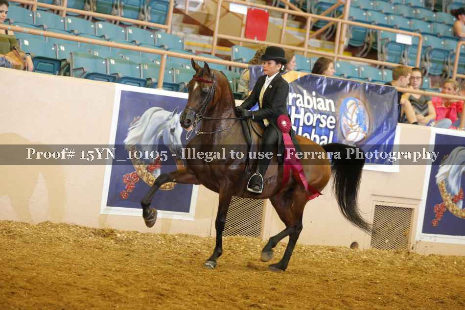 Proof 15YN_10105