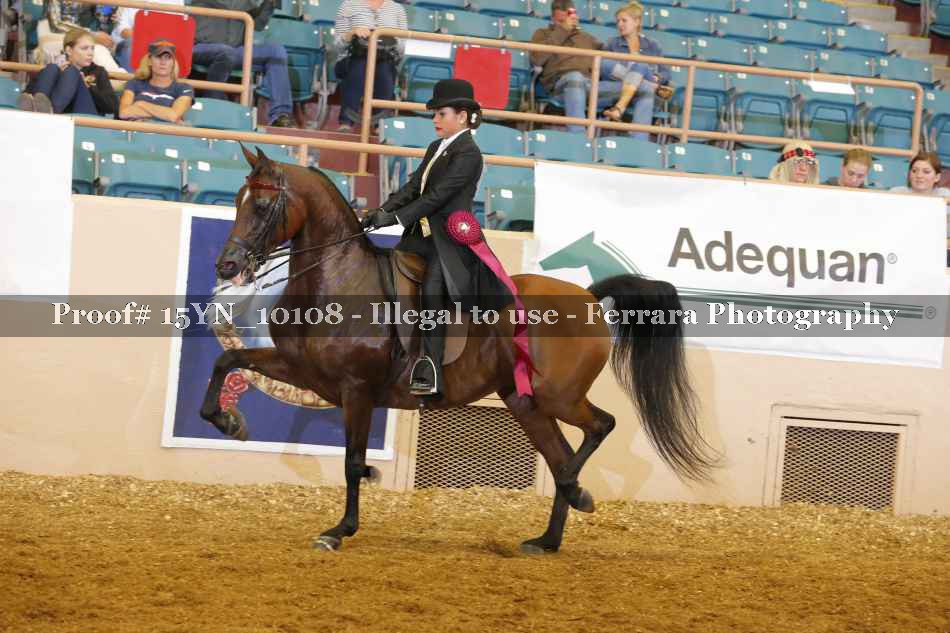 Proof 15YN_10108