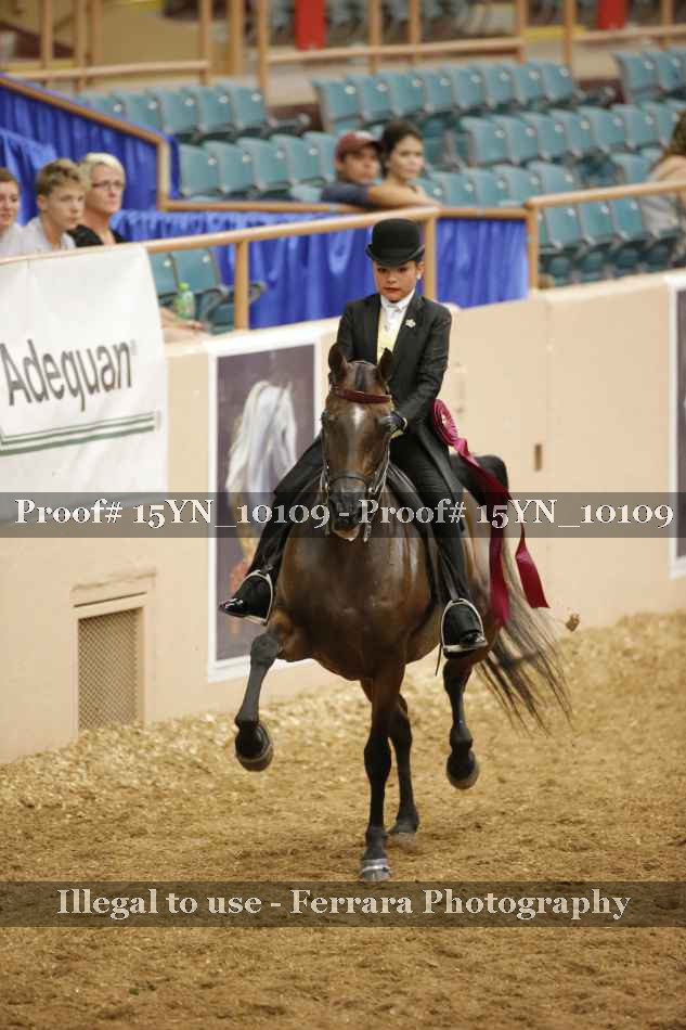 Proof 15YN_10109