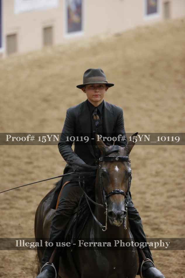 Proof 15YN_10119