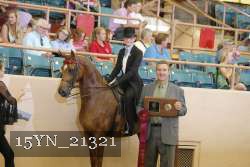 15YN_21321 proof