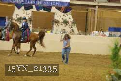 15YN_21335 proof