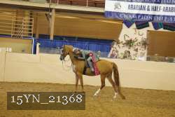 15YN_21368 proof