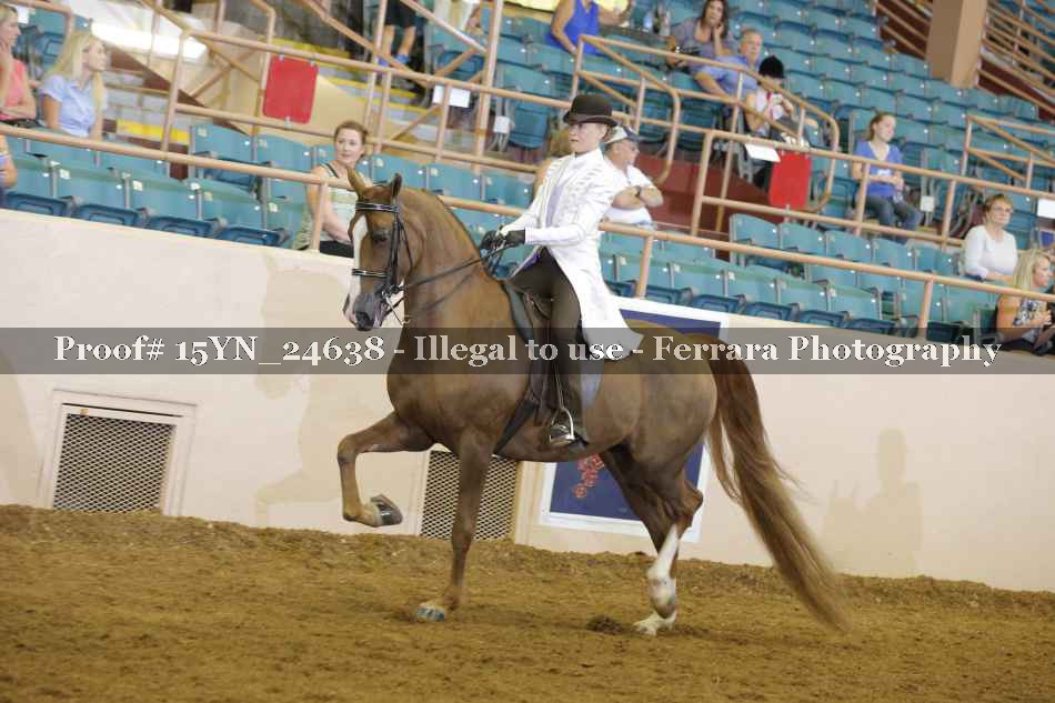 Proof 15YN_24638
