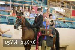 15YN_24676 proof