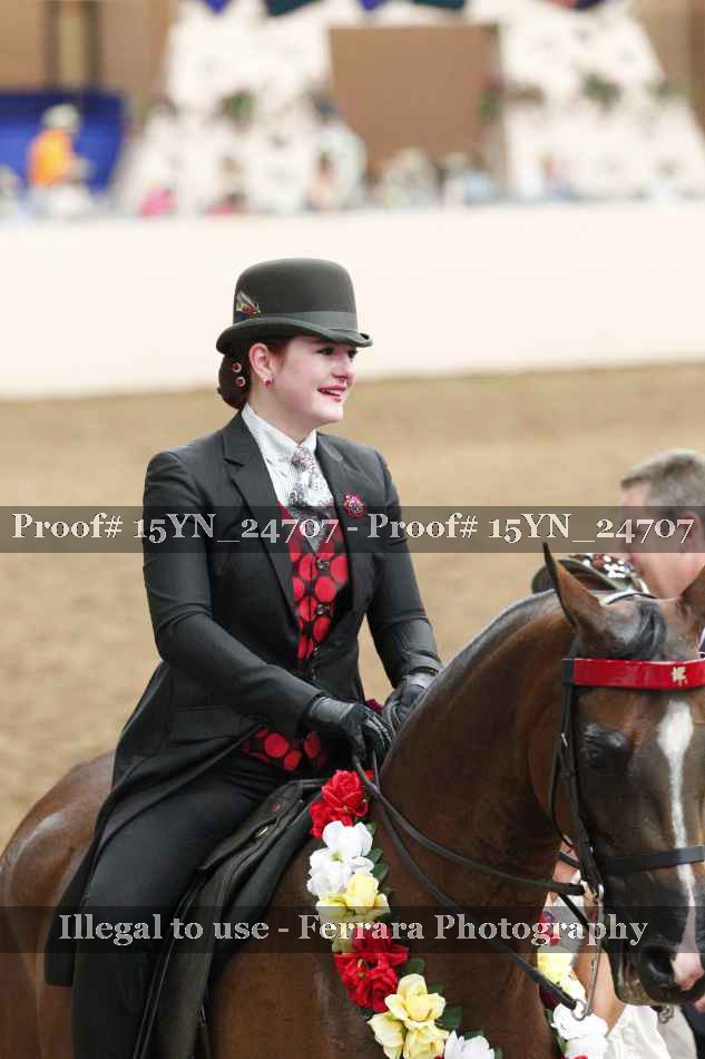 Proof 15YN_24707