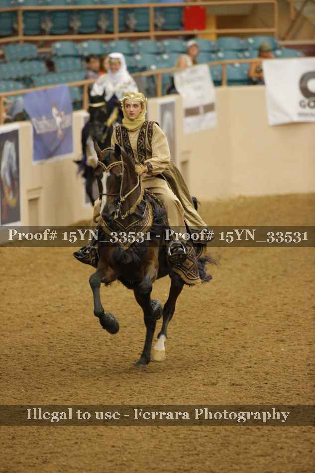 Proof 15YN_33531