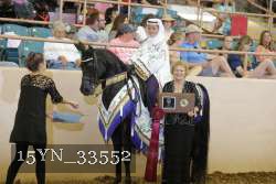 15YN_33552 proof