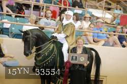 15YN_33554 proof