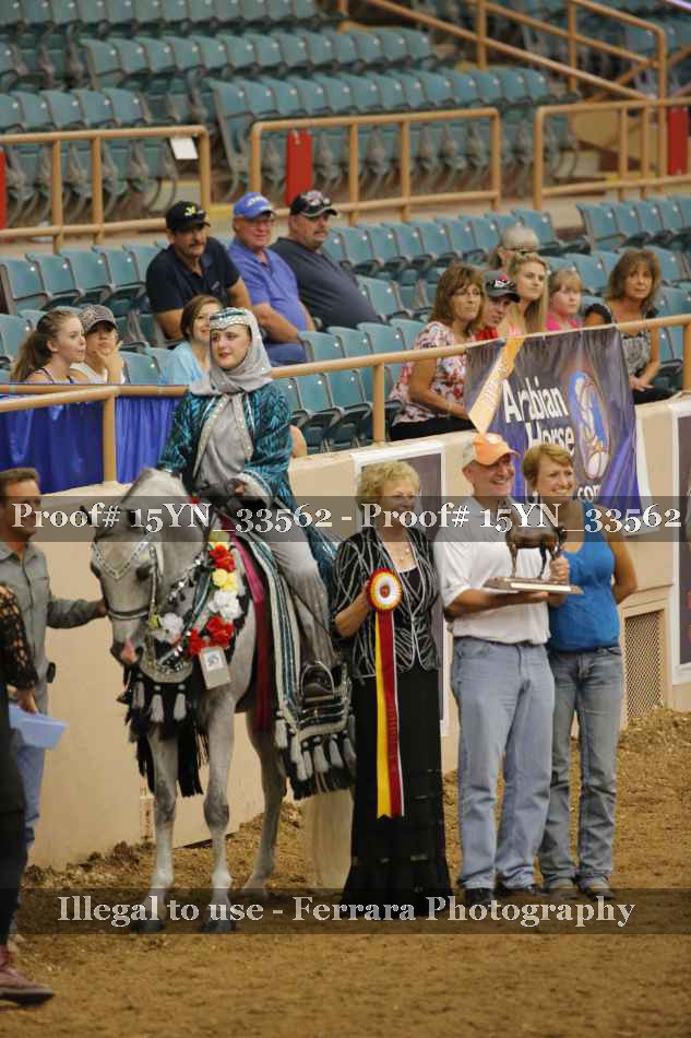 Proof 15YN_33562