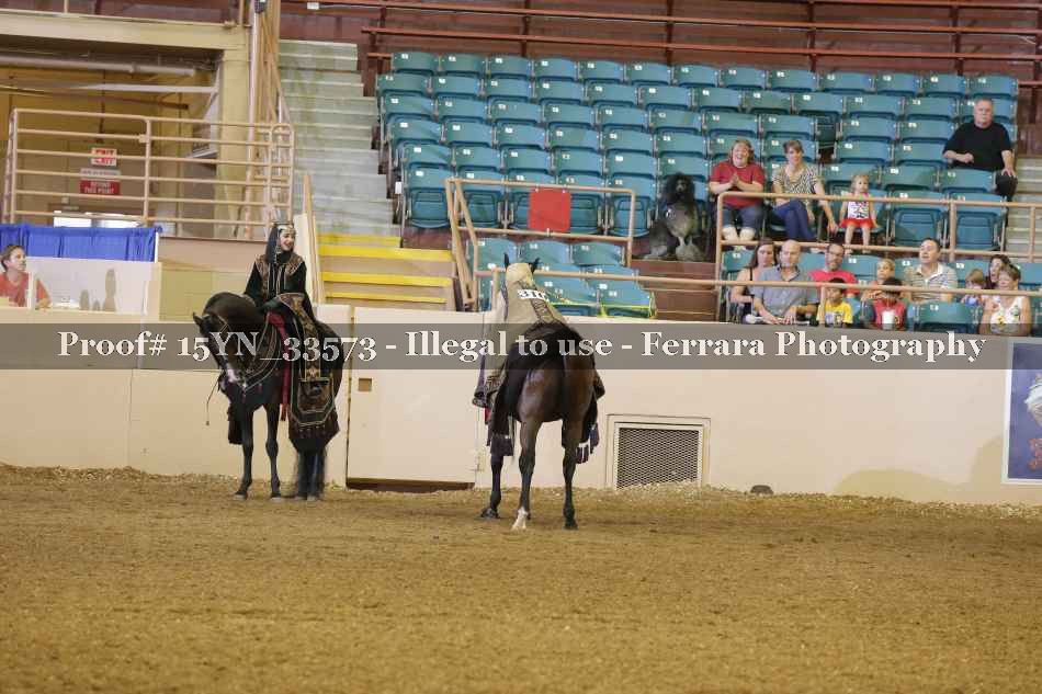 Proof 15YN_33573