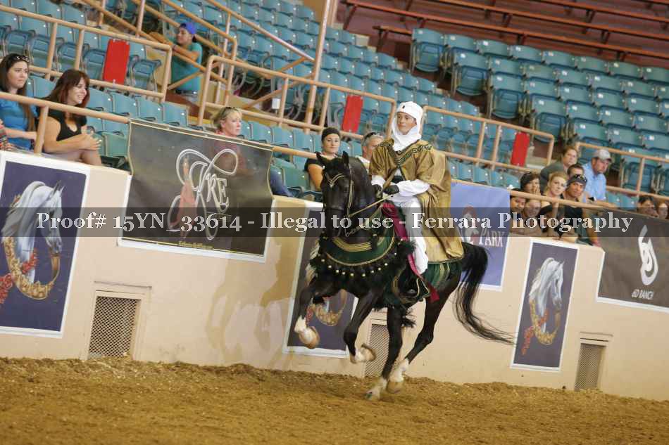 Proof 15YN_33614