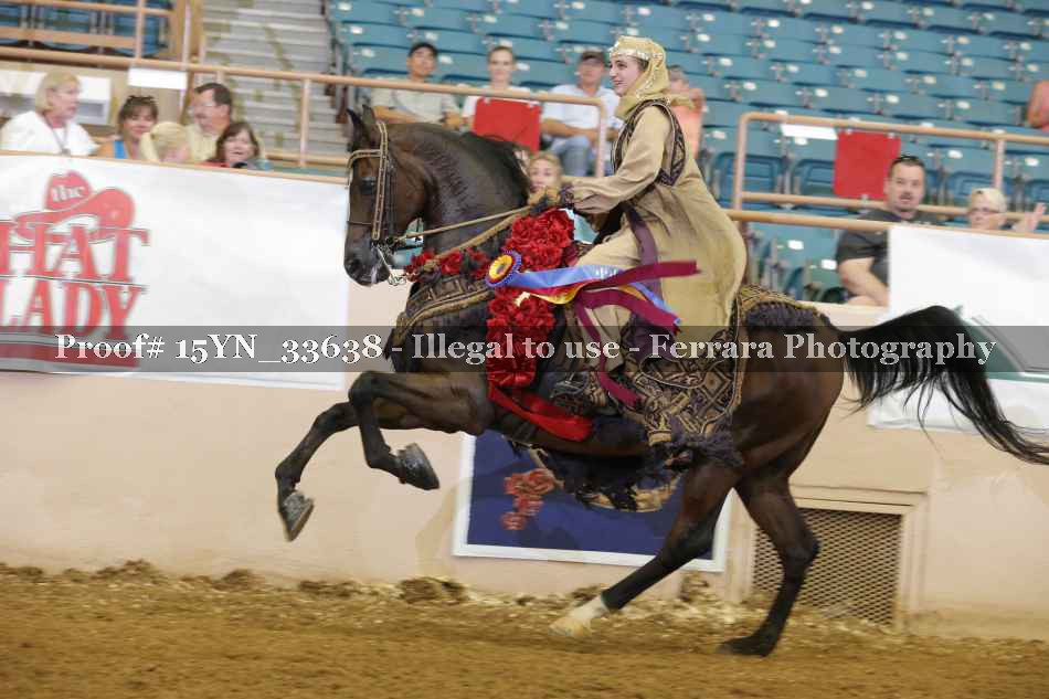 Proof 15YN_33638