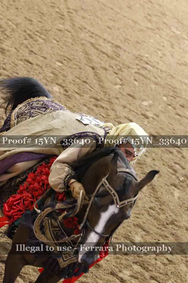 Proof 15YN_33640