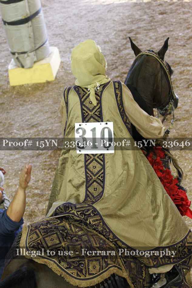 Proof 15YN_33646