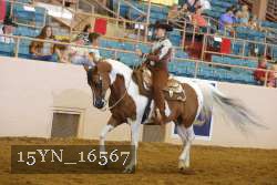 15YN_16567 proof